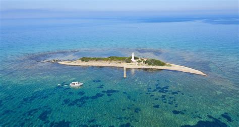 porn in spiaggia|'amatoriale spiaggia italiano' Search .